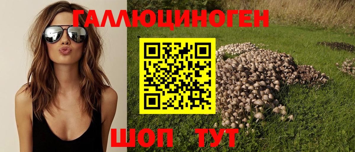 Красноперекопск  Псилоцибиновые грибы MAGIC MUSHROOMS  купить  сайты  Вход с VPN 