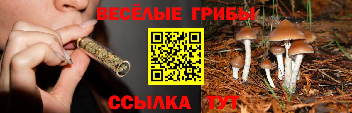 Галлюциногенные грибы MAGIC MUSHROOMS Красноперекопск