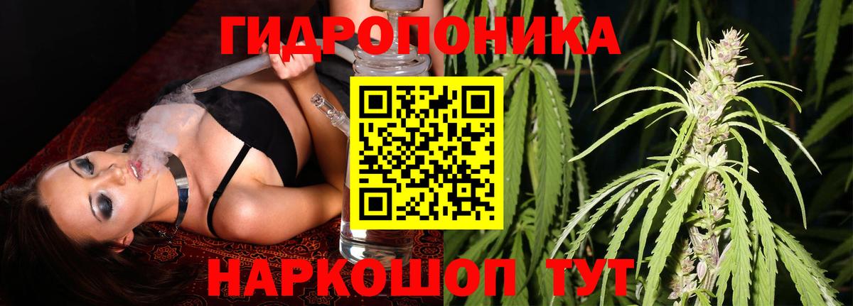Бошки марихуана LSD WEED  МАРИХУАНА планчик  Вход с VPN  Бошки марихуана семена  Красноперекопск 